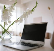 A minimalist workspace with a silver laptop and white flowers in a vase on a table.